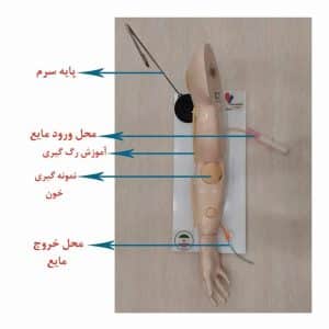 مولاژ تزریق وریدی